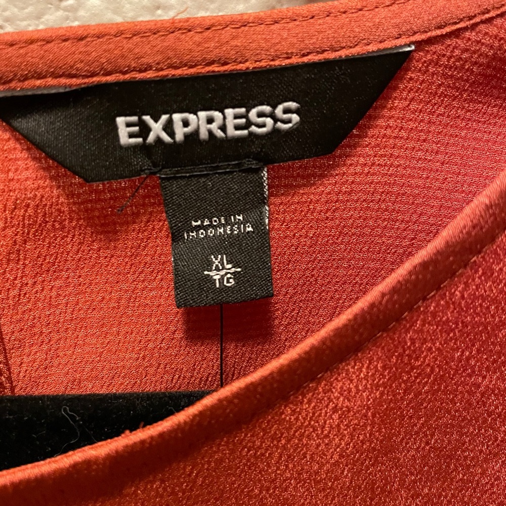 Express Sleeveless Ruffle Top Size XL - Picture 4 of 11